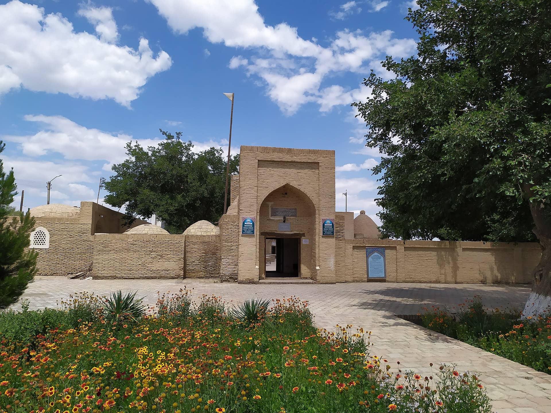 Даун синдромының жыныстық аспектісі